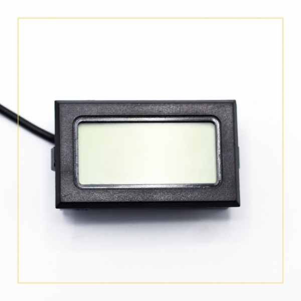 Термометр электронный TPM-10 с выносным датчиком (TP-2)